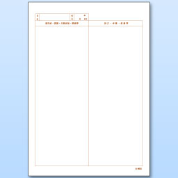 診療録 A4-S102 穴なし