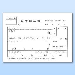 薬歴・文書・他